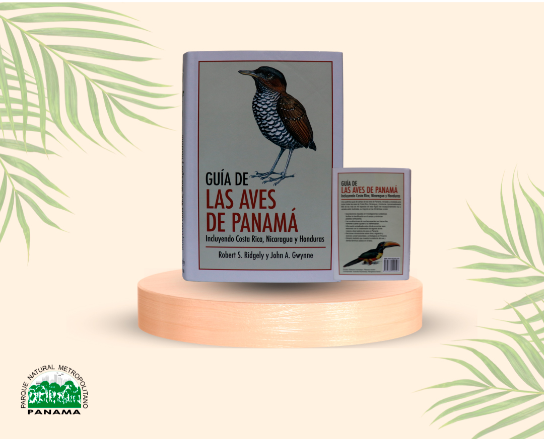 TRANSIT 15冊 + BIRD 1冊+ travel guide 1冊 Guides to the Birds of Panama - Parque Natural Metropolitano